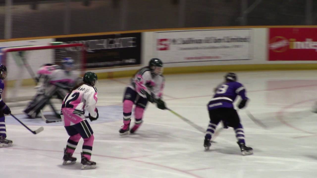 Nipissing Lakers women's hockey team has high hopes for the